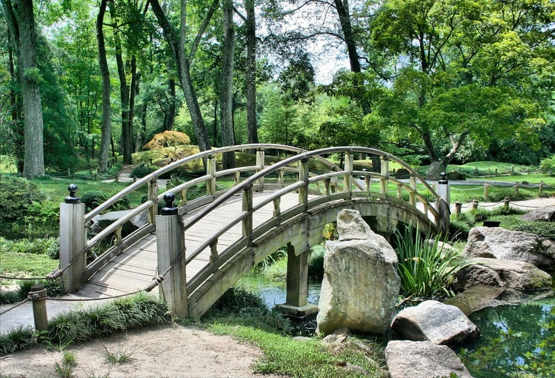 Trellis and Arbor
